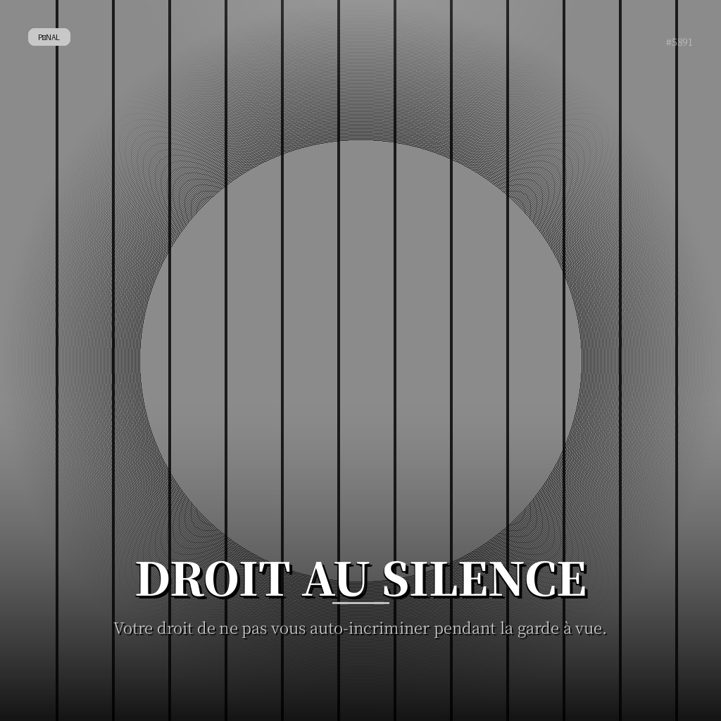 Droit au Silence