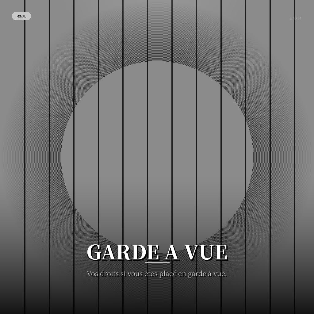 Garde a Vue