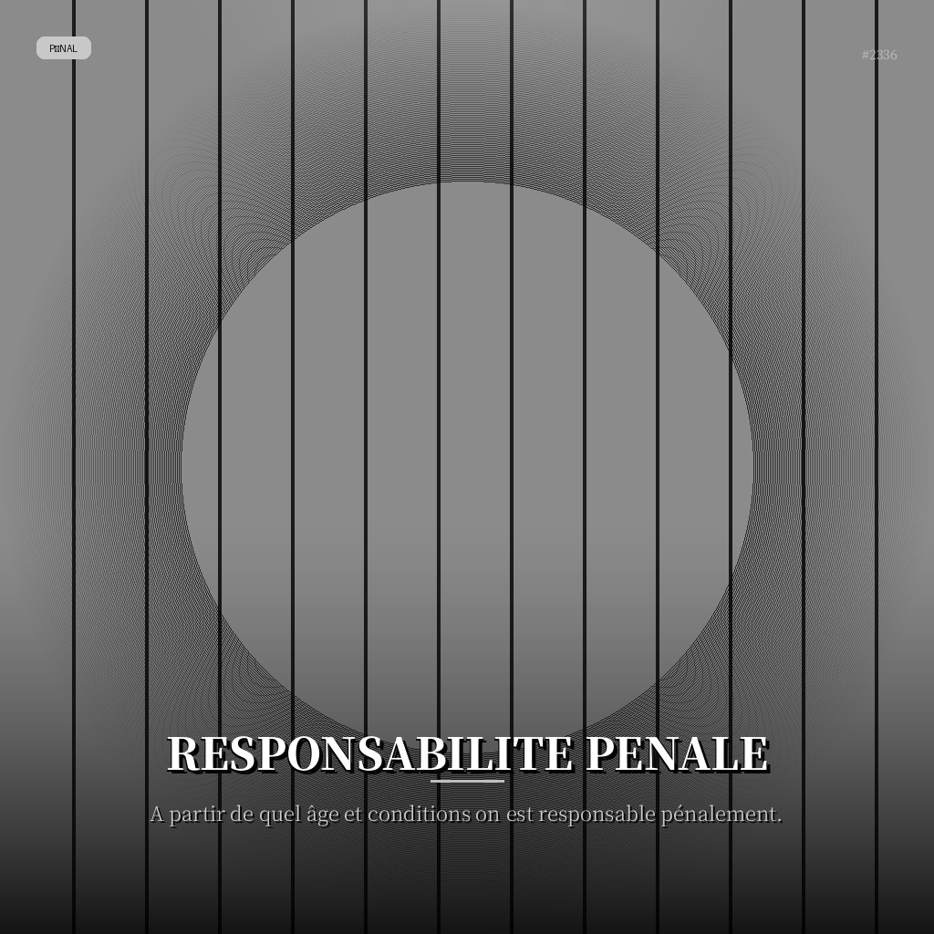 Responsabilite Penale